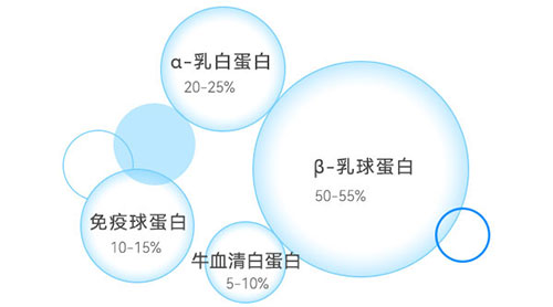 乳清蛋白成分示意图